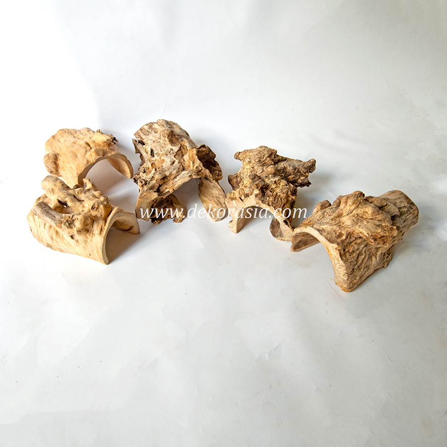 Hidding Cave 1 Coffee Wood Reptile