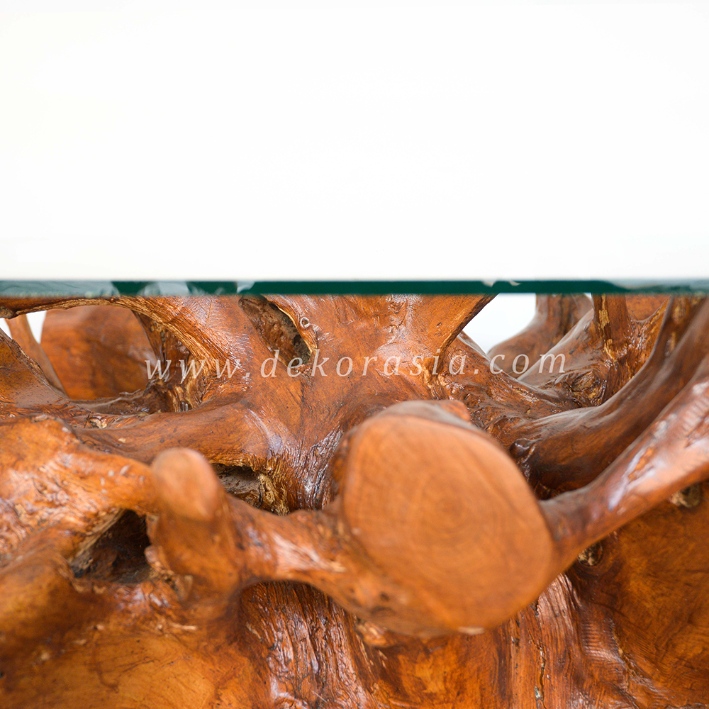 Teak Root Table 2 (4) Teak Root Coffee Table