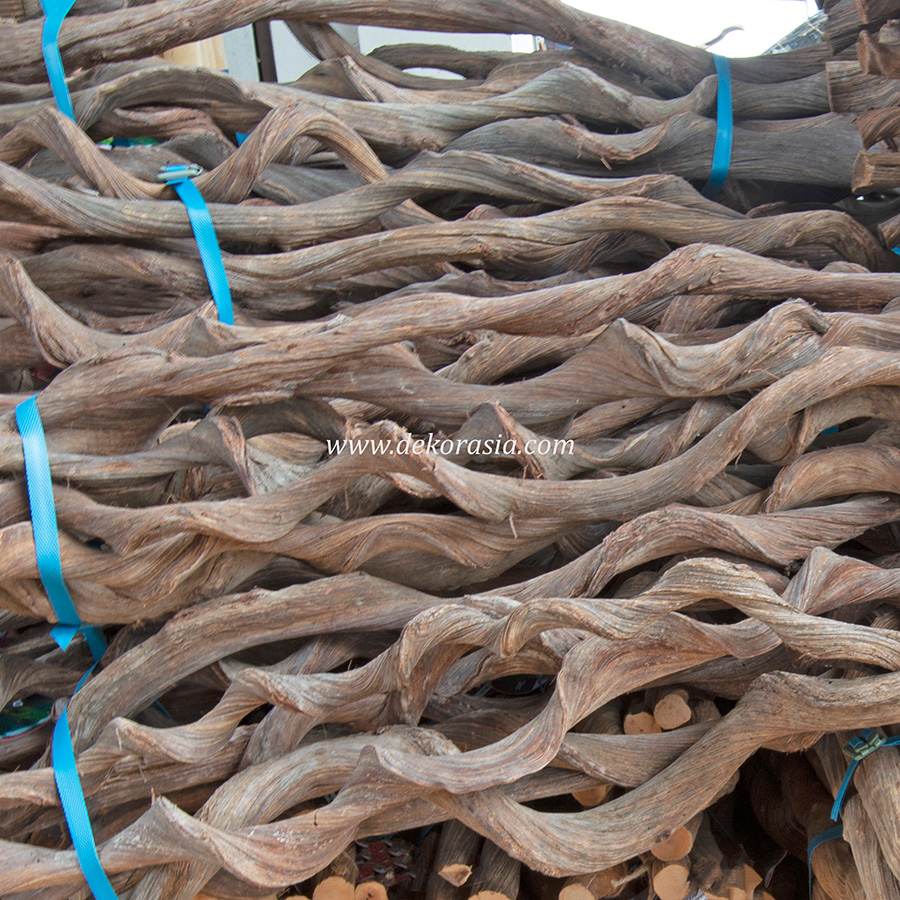 kasela1 Kasela Vines Wood